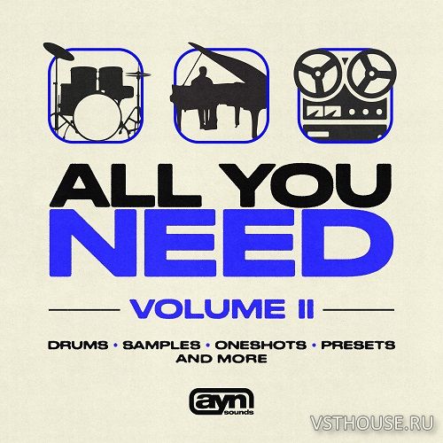 AYN Sounds - All You Need Vol. 2 (WAV, MIDI, FST, Arturia)