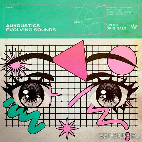 Splice Originals - Aukoustics Evolving Sounds (WAV)