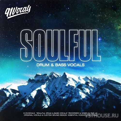 91Vocals - Soulful Drum & Bass Vocals (WAV)