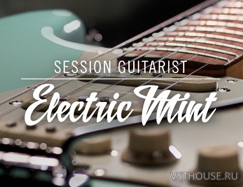 Native Instruments - Session Guitarist - Electric Mint (1.1.0)