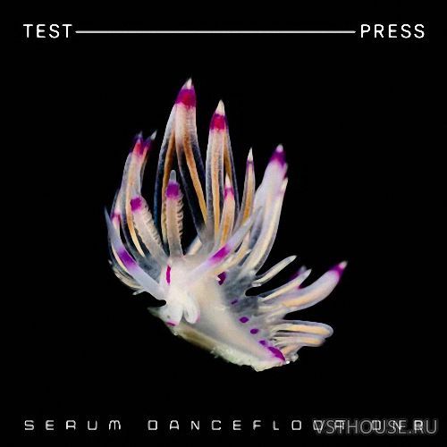 Test Press - Serum Dancefloor DnB (SERUM, WAV, MIDI)
