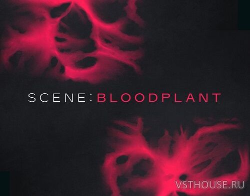 Native Instruments - Scene Bloodplant (KONTAKT) Native Instruments - Scene Bloodplant (KONTAKT)