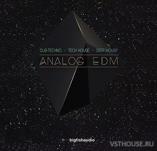 Big Fish Audio - Analog EDM (MULTiFORMAT, KONTAKT)