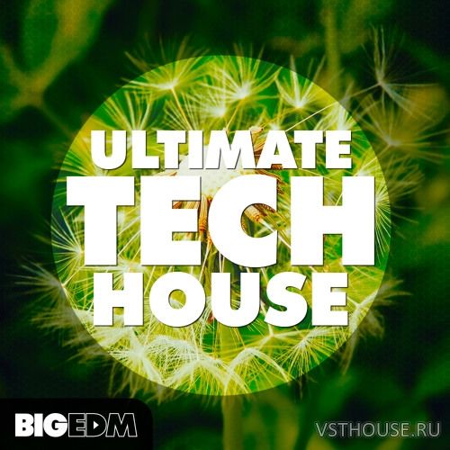 Big EDM - Ultimate Tech House (WAV, MIDI, SYLENTH1, MASSiVE)
