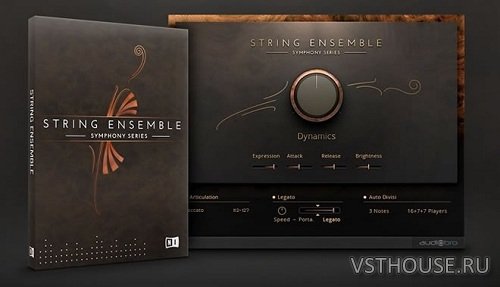 Native Instruments - SYMPHONY SERIES STRING ENSEMBLE v.1.1 WIN.OSX