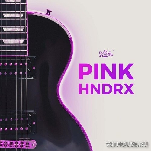 Cartel Loops - Pink Hndrx (WAV)