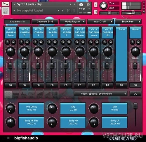 Big Fish Audio - Kandiland EDM Construction Kits (KONTAKT)