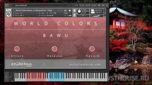 Evolution Series - World Colors Bawu (KONTAKT)