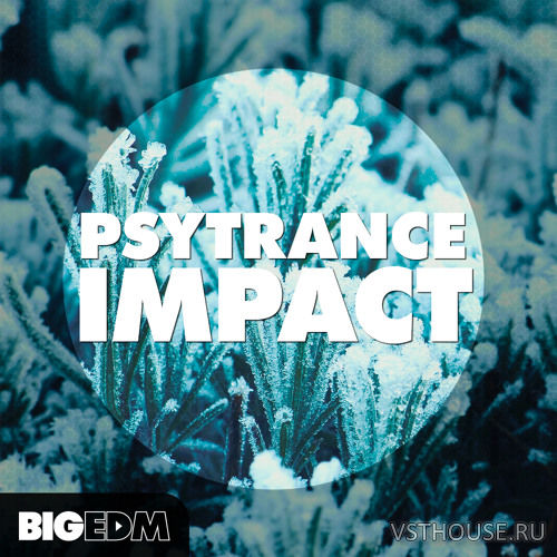 Big EDM - Psytrance Impact (MIDI, WAV, SPIRE, SYLENTH)