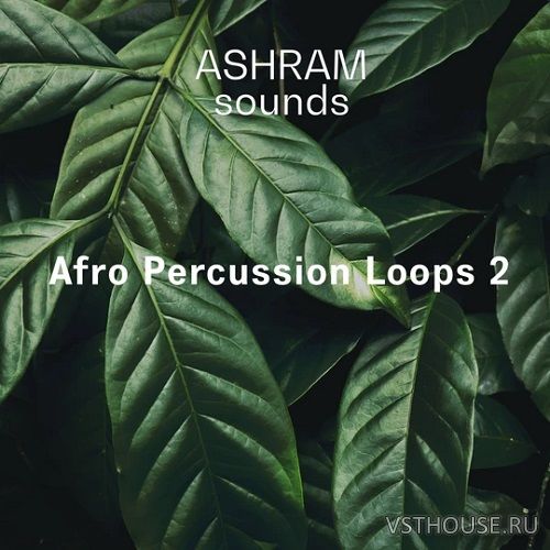 Riemann Kollektion - ASHRAM Afro Percussion Loops 2 (WAV)