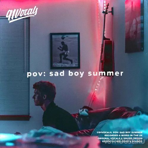 91Vocals - pov sad boy summer (WAV)