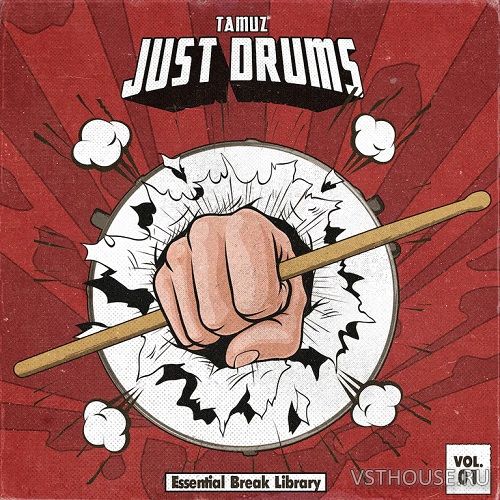 Tamuz - Just Drums Vol. 1 (WAV)