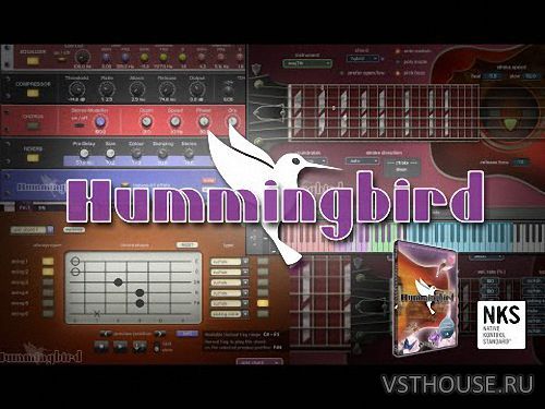 Prominy - Hummingbird v1.26 (Update Only) (KONTAKT)