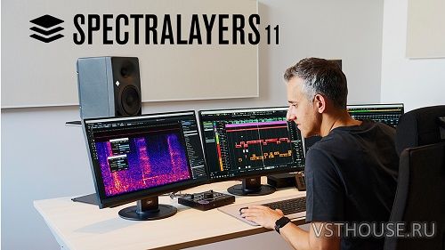 Steinberg - SpectraLayers Pro 11 v11.0.10 x64