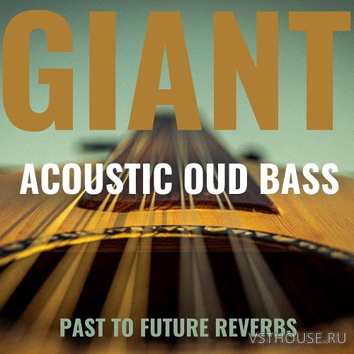 Past to Future Reverbs - Giant Acoustic Round-Back Fretless Bass