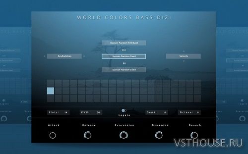 Evolution Series - World Colors Bass Dizi (KONTAKT)