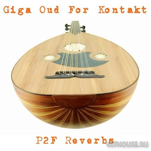 Past to Future Reverbs - Giga Oud (KONTAKT)