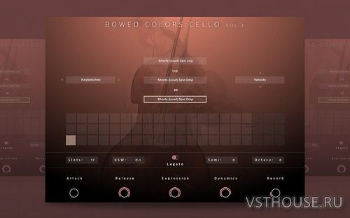 Evolution Series - Bowed Colors Cello Vol. 2 (KONTAKT)