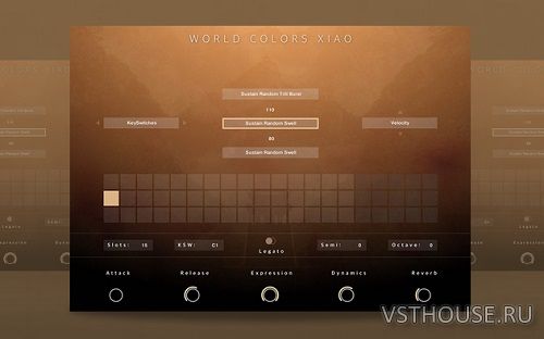 Evolution Series - World Colors Xiao (KONTAKT)