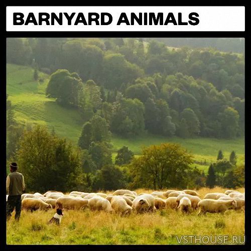 Big Room Sound - Barnyard Animals (WAV)