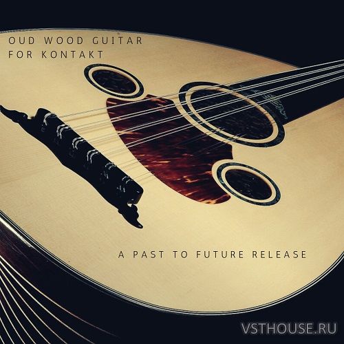 Past to Future Reverbs - Oud Wood Guitar (KONTAKT)