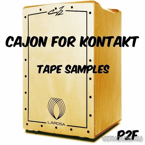 Past to Future Reverbs - P2F Cajon (KONTAKT)