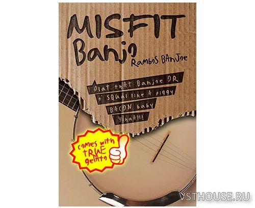 8Dio - Misfit Banjo (KONTAKT)