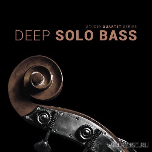 8Dio - Studio Quartet Series Deep Solo Bass (KONTAKT)