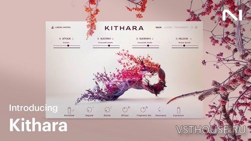 Native Instruments - Kithara (KONTAKT)