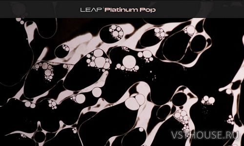 Native Instruments - Leap Platinum Pop (KONTAKT)