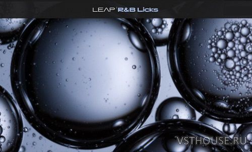 Native Instruments - Leap R&B Licks (KONTAKT)