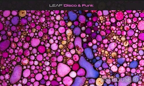 Native Instruments - Leap Disco & Funk (KONTAKT)