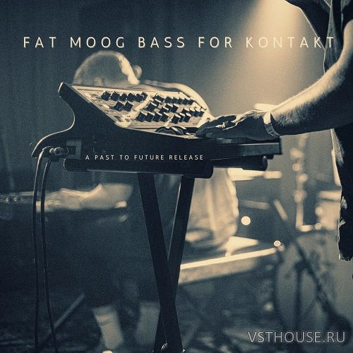 Past to Future Reverbs - Fat Moog Bass (KONTAKT)