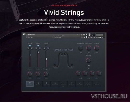 Pulse Audio - Vivid Strings Basses (KONTAKT)