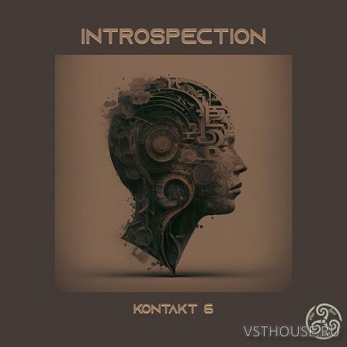 Triple Spiral Audio - Introspection 1.1.0 (KONTAKT)