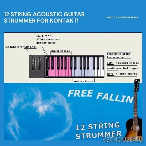 Past to Future Reverbs - Free Fallin 12-String Acoustic Strummer