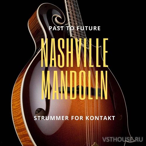 Past to Future Reverbs - Nashville Mandolin Strummer (KONTAKT)