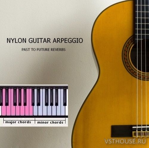 Past to Future Reverbs - Nylon Guitar Arpeggio (KONTAKT)