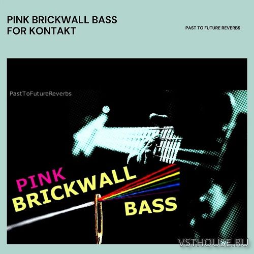 Past to Future Reverbs - Pink Brickwall Bass (KONTAKT)