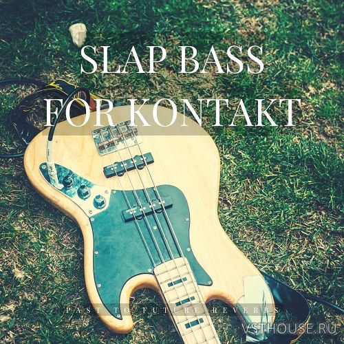 Past to Future Reverbs - Slap Bass (KONTAKT)