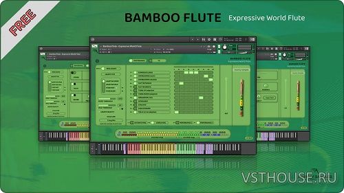 Insanity Samples - Bamboo Flute Expressive World Flute (KONTAKT)