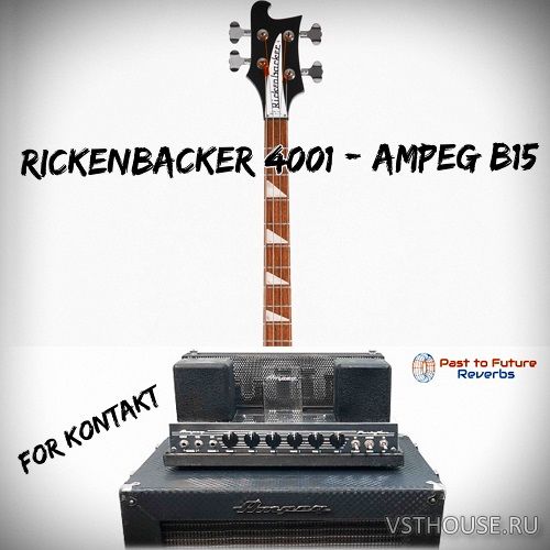 Past to Future Reverbs - Rickenbacker 4001 Bass Through Ampeg B15 Amp