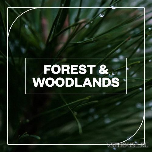 Blastwave FX - Forest and Woodlands (WAV)