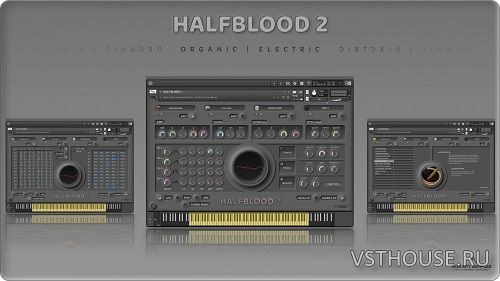 Insanity Samples - Halfblood 2 v1.5.0 (KONTAKT)