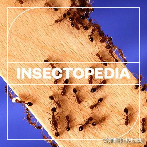 Blastwave FX - Insectopedia (WAV)