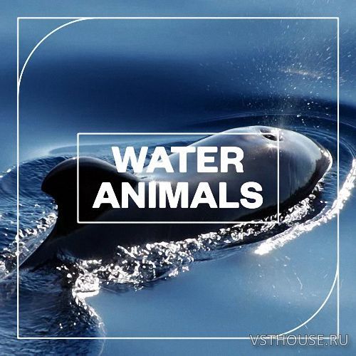 Blastwave FX - Water Animals (WAV)