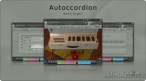 Insanity Samples - Autoccordion Reed Organ (KONTAKT)