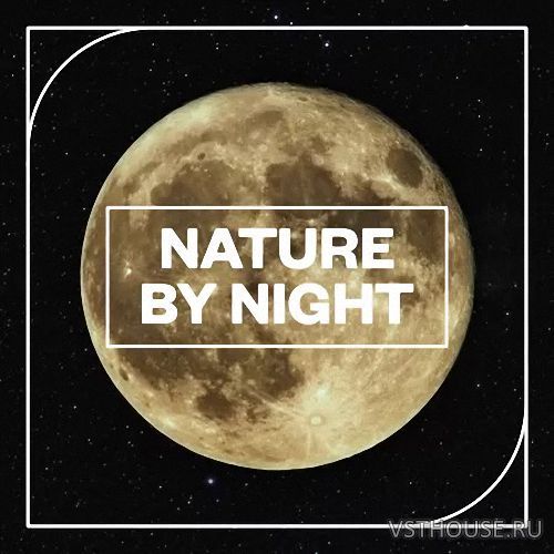 Blastwave FX - Nature by Night (WAV)