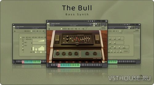 Insanity Samples - The Bull Iconic Bass Synth (KONTAKT)