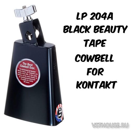 Past to Future Reverbs - LP 204A Black Beauty Tape Cowbell